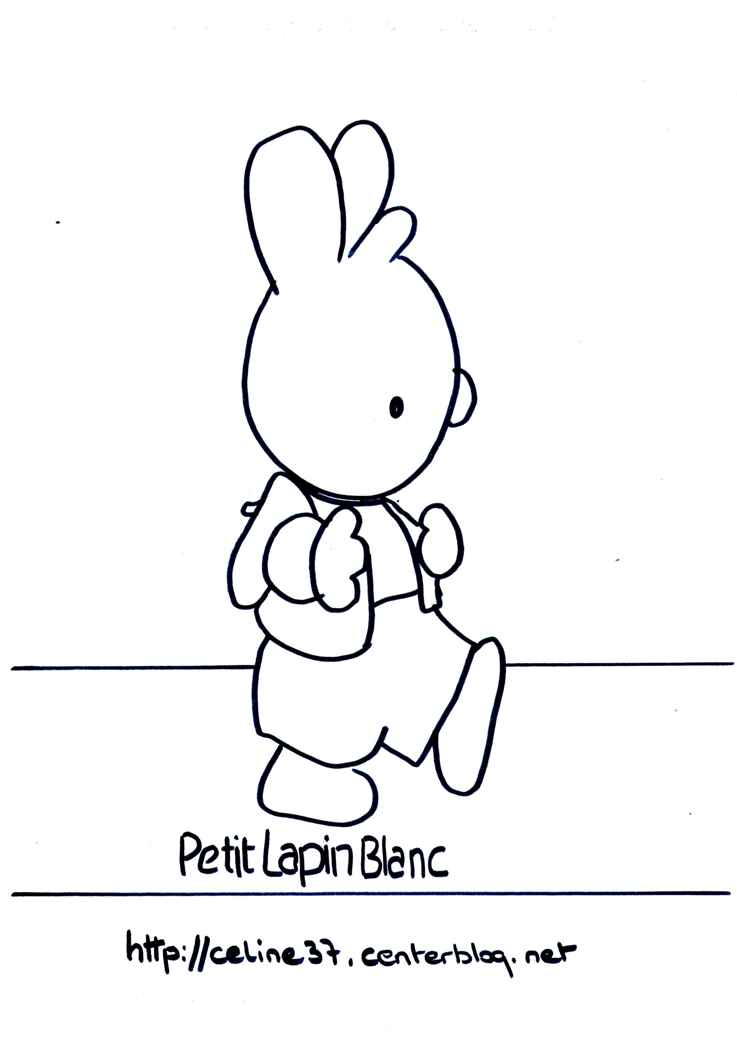 gabarit petit lapin blanc